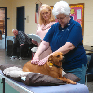 Catawba Valley Obedience Club, Hickory NC